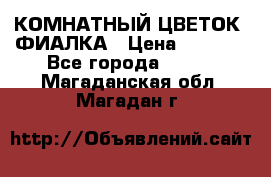 КОМНАТНЫЙ ЦВЕТОК -ФИАЛКА › Цена ­ 1 500 - Все города  »    . Магаданская обл.,Магадан г.